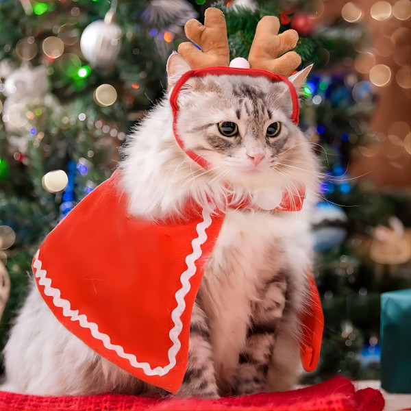 Pet Christmas costumes, cat and puppy Christmas costumes, cat sweaters Christmas decorations New Year Christmas party Cosplay supplies Headwear accessories